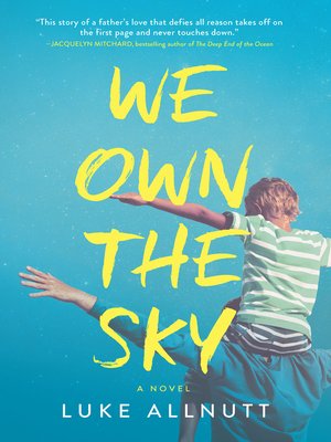 cover image of We Own the Sky